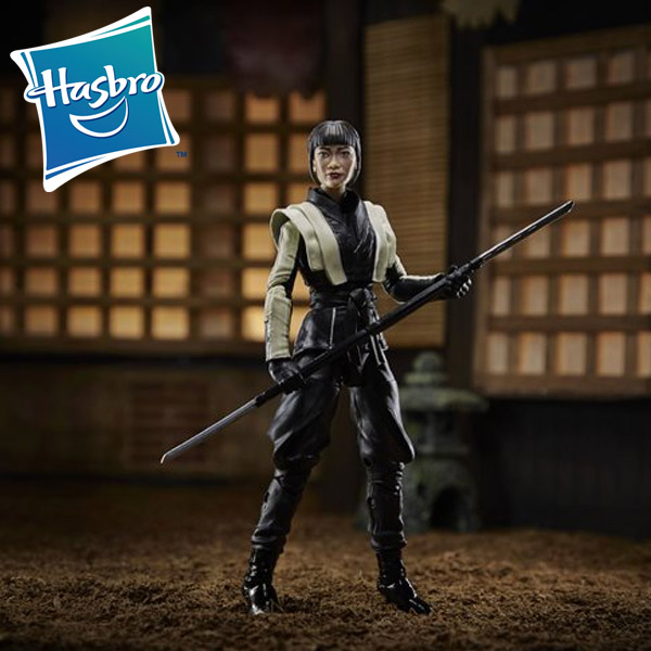 Hasbro Snake Eyes GI Joe Origins Classified Series Akiko Figure